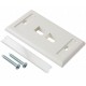 Face Plate 2 puertos Panduit Netkey Categoria 6 Blanco Mate ( NK2FIWY )