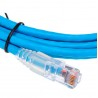 Patch Cord UTP AMP Categoria 6 de 2.1 mts ( 1859247-7 ) Azul / Rojo