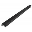 Power Rack Vertical 10 tomas (PDU ) 15 AMP con tomacorriente